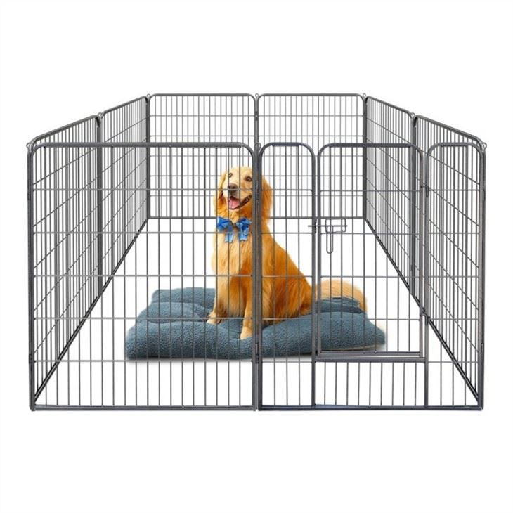 dog fence barrier