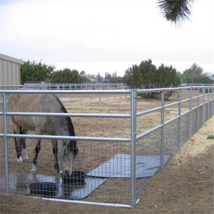 10 ft corral panel with gate