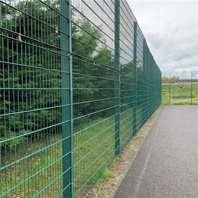 Twin Wire Mesh Fencing