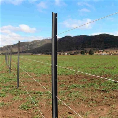 Steel Star Pickets